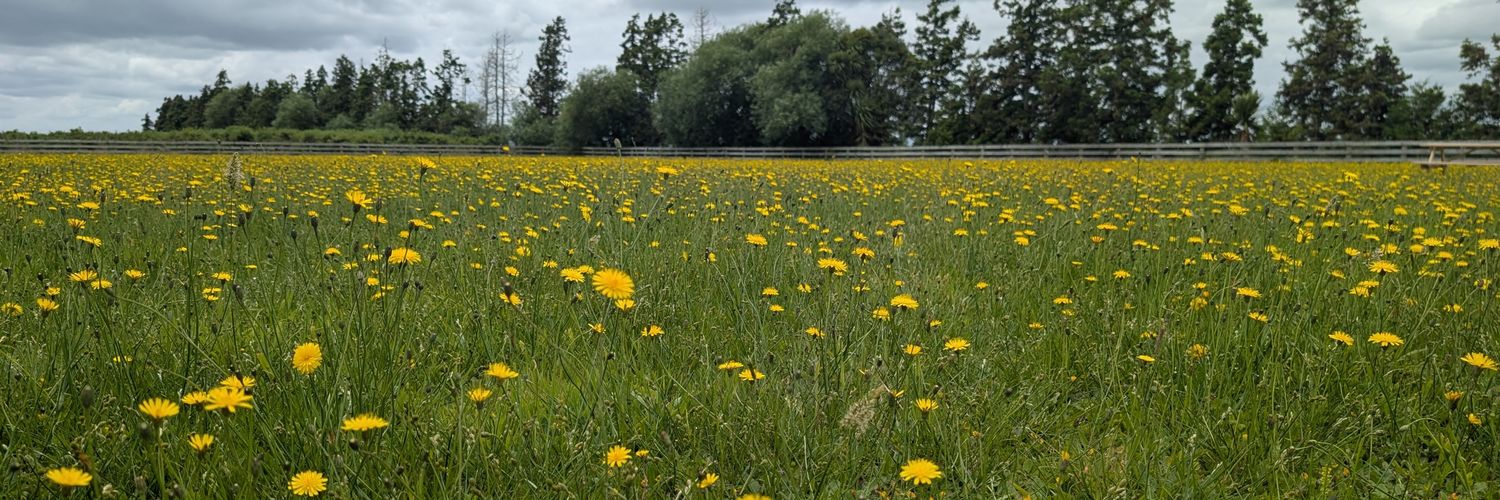 JesusDadNZ's profile banner image