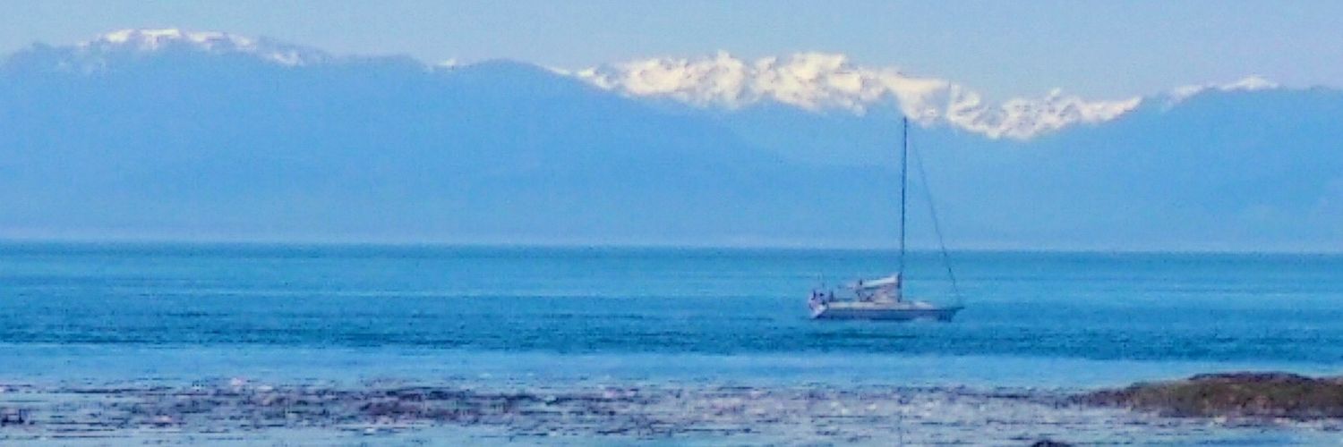 Kimanda Jarzebiak banner