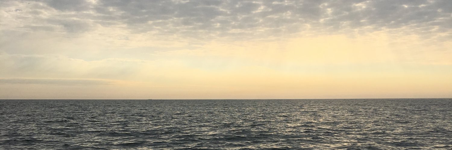 SimsTooCold's profile banner image