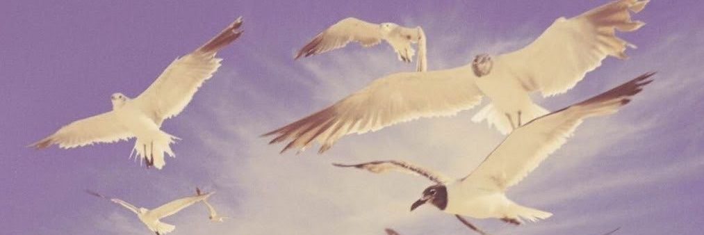 _coldcashdivine's profile banner image