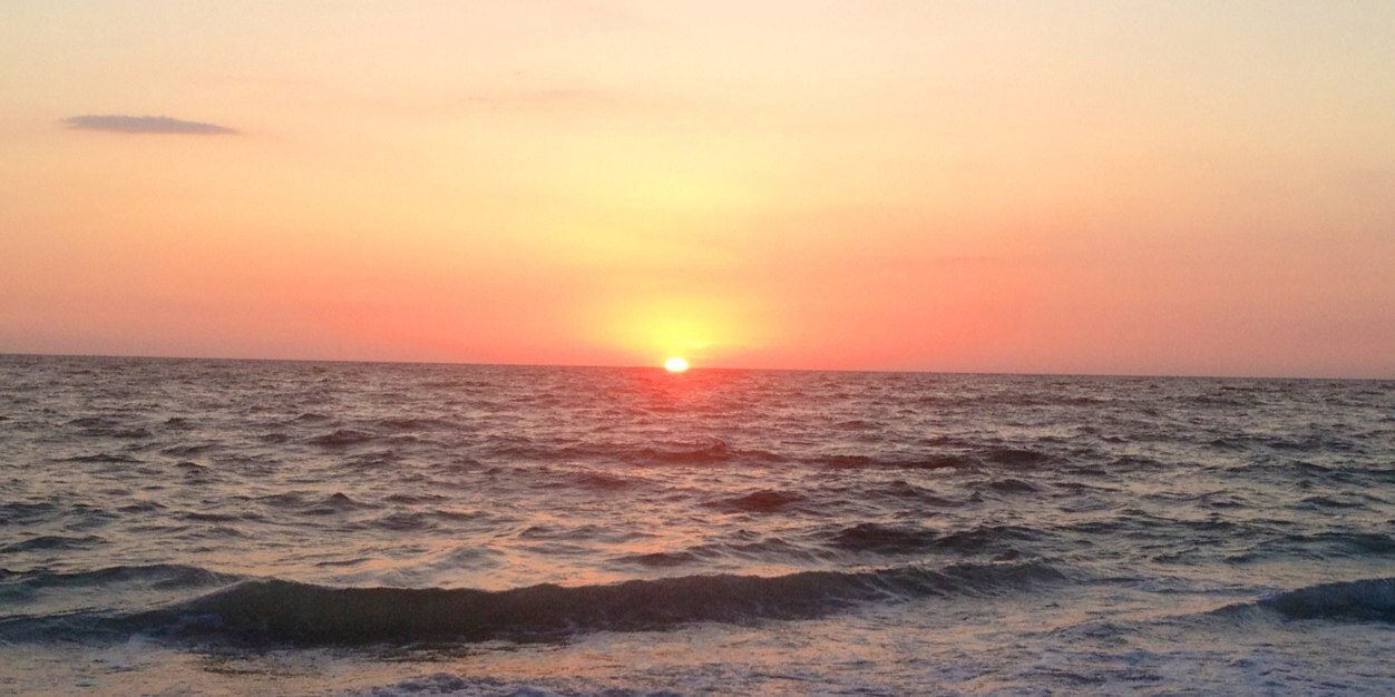 emilyatwpbf's profile banner image