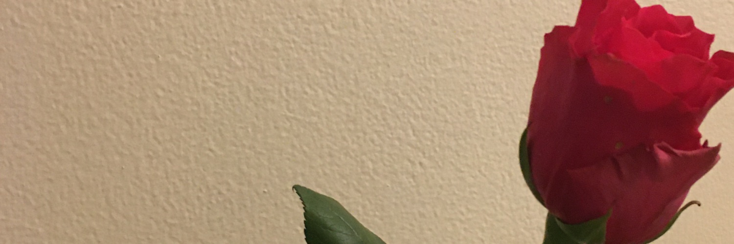 apopoflis's profile banner image