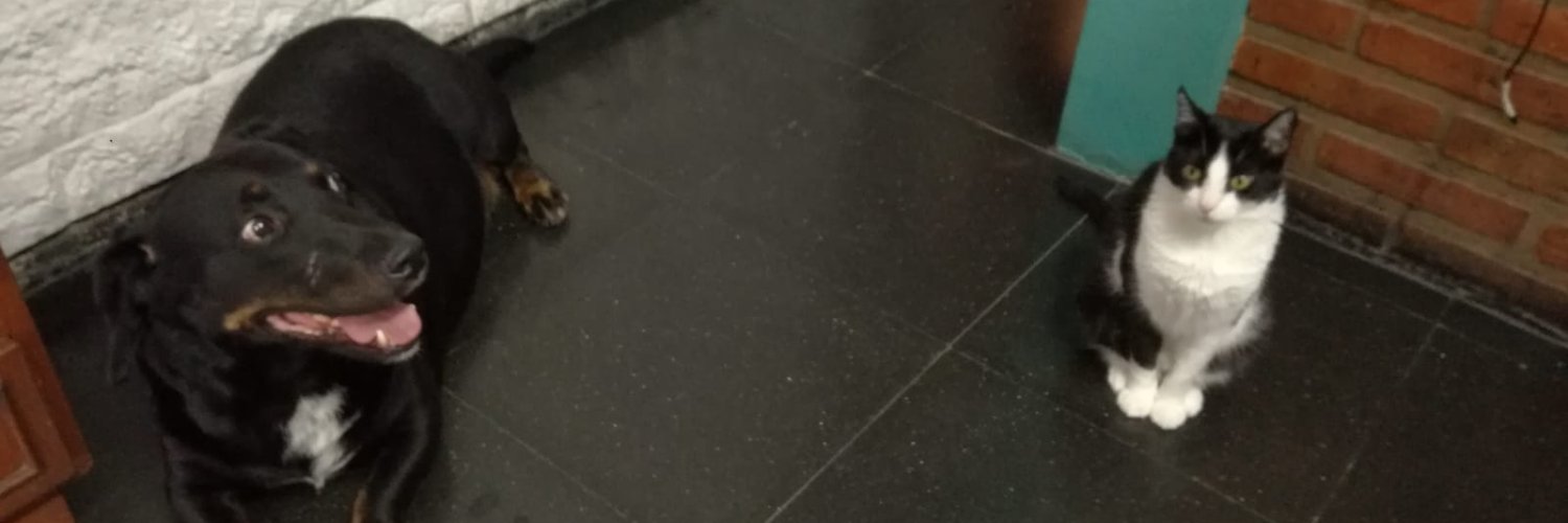 Maria W banner