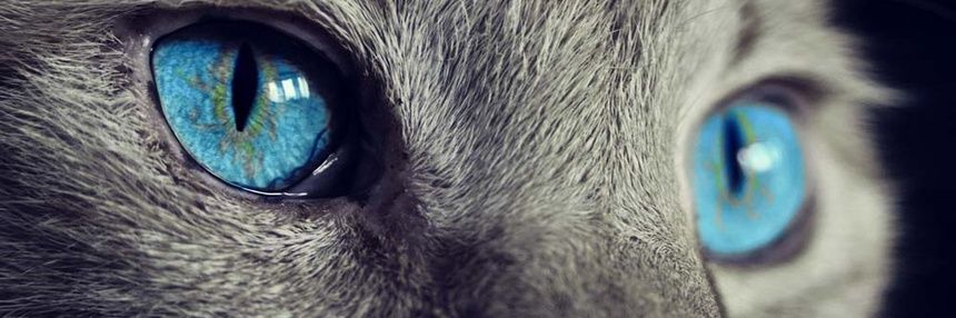 smartaddress's profile banner image