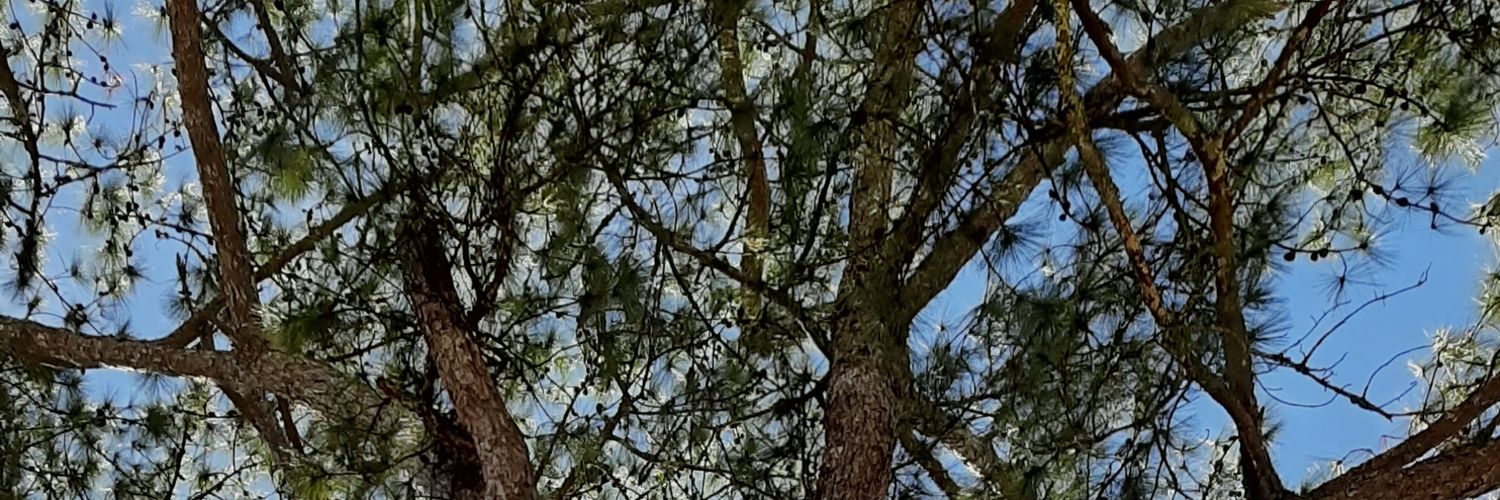 mattandmathics's profile banner image