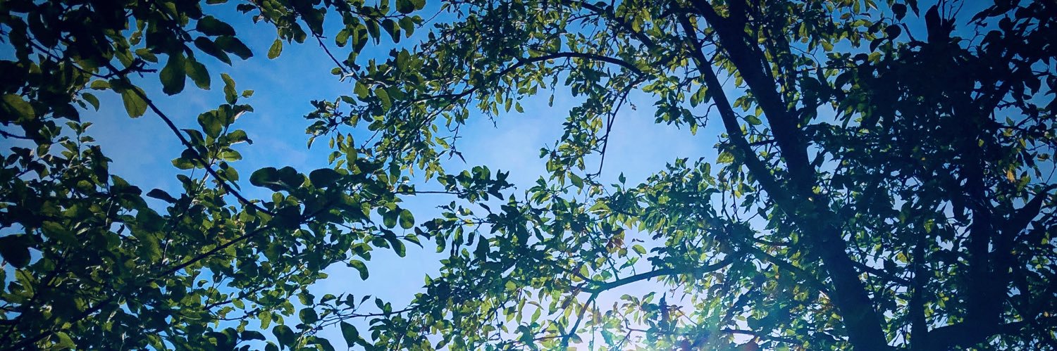 adreamoftrees's profile banner image