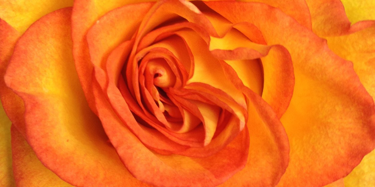 ampkpl's profile banner image