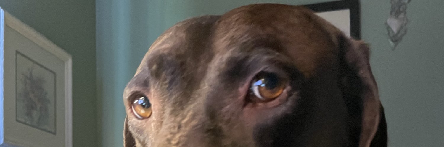 patticru's profile banner image