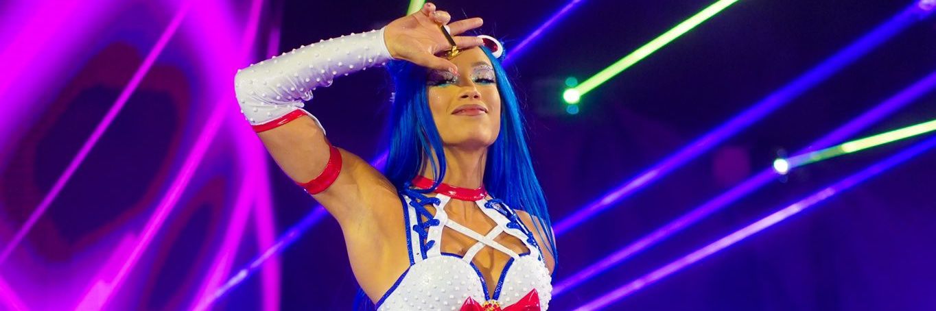wrestlinstan's profile banner image