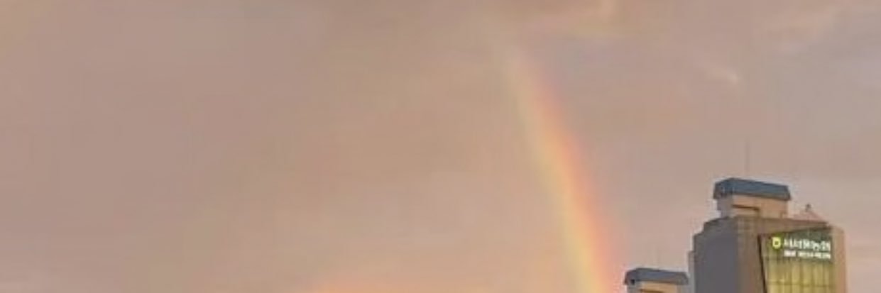 u_marimari's profile banner image