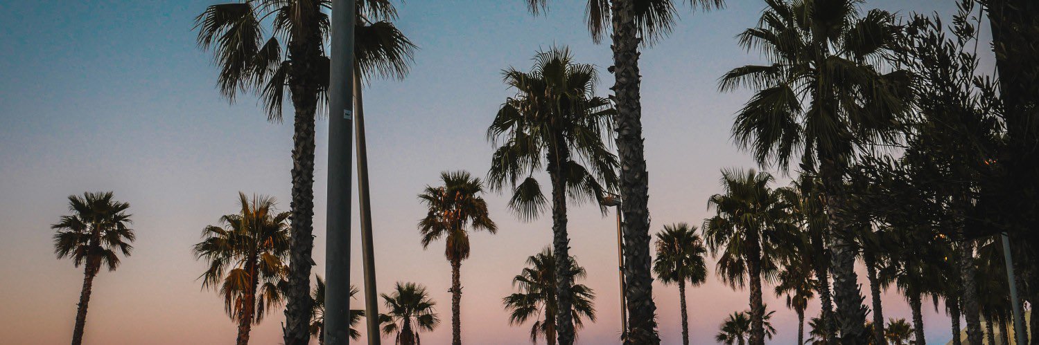 theRealBrendini's profile banner image