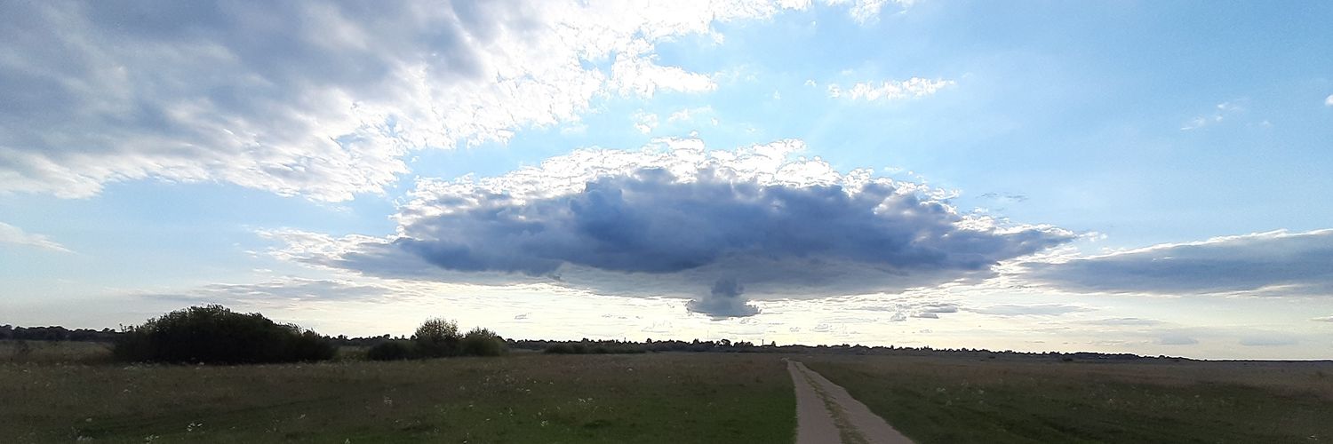 Dymytr Koš banner