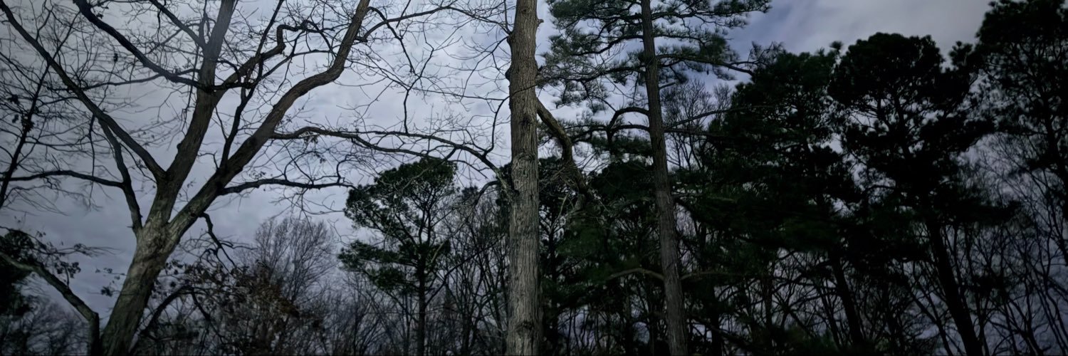 JulioMolina1983's profile banner image