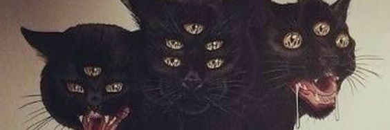 SONJI banner