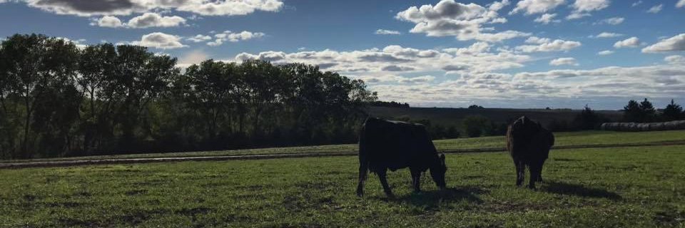 Maci_Mueller's profile banner image