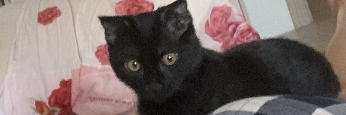 stasyche's profile banner image