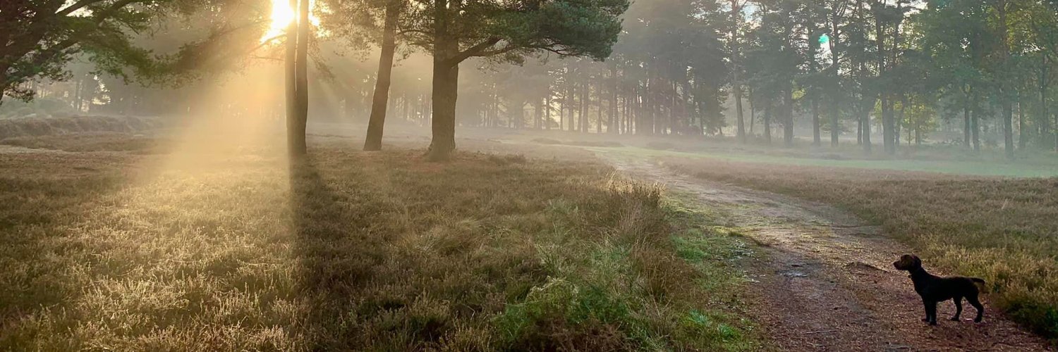 VickyFurst's profile banner image