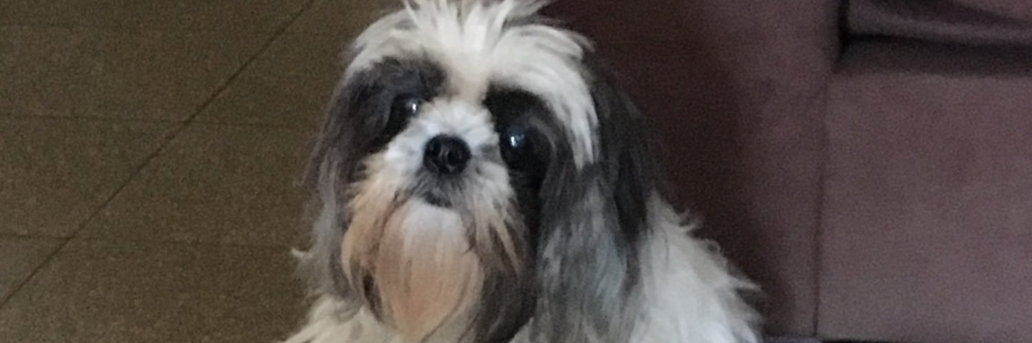 MiriamVasquezCh's profile banner image
