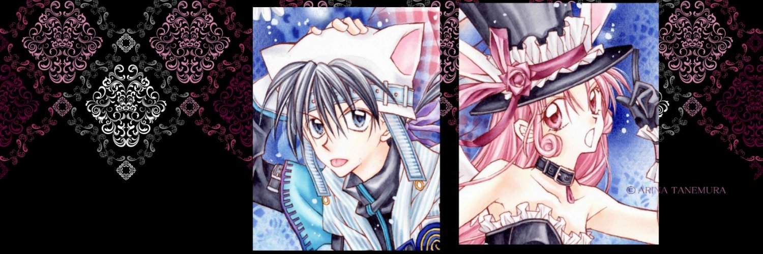 ✨✨Cat banner