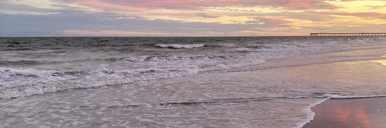 JandyLynn's profile banner image