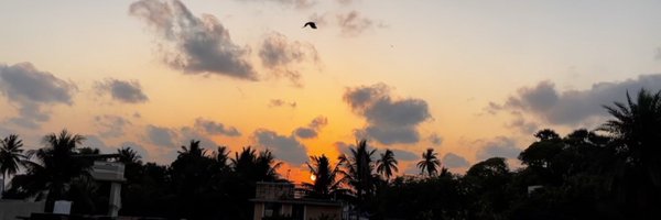 _nishisingh_ Profile Banner