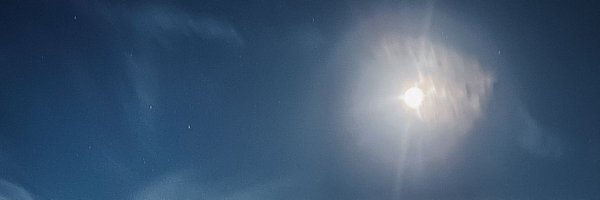 QWILEQ Profile Banner