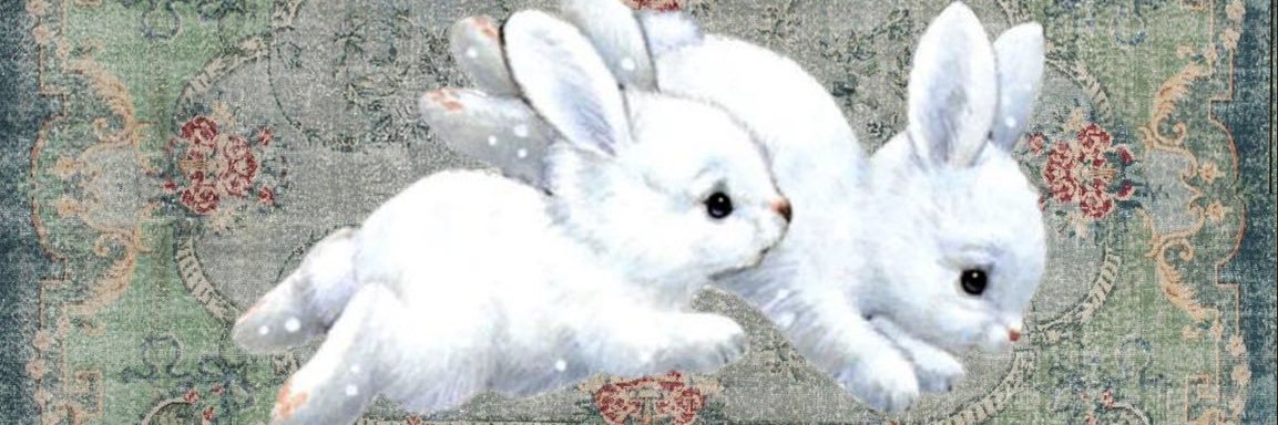 cevvaall's profile banner image