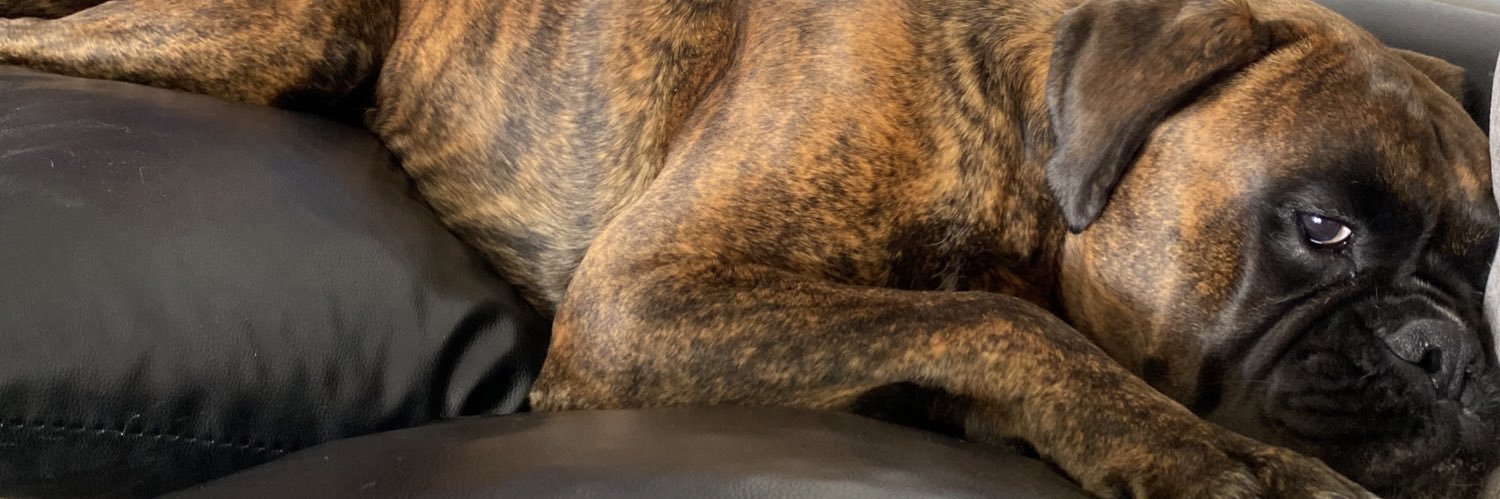 helen rolandsen banner