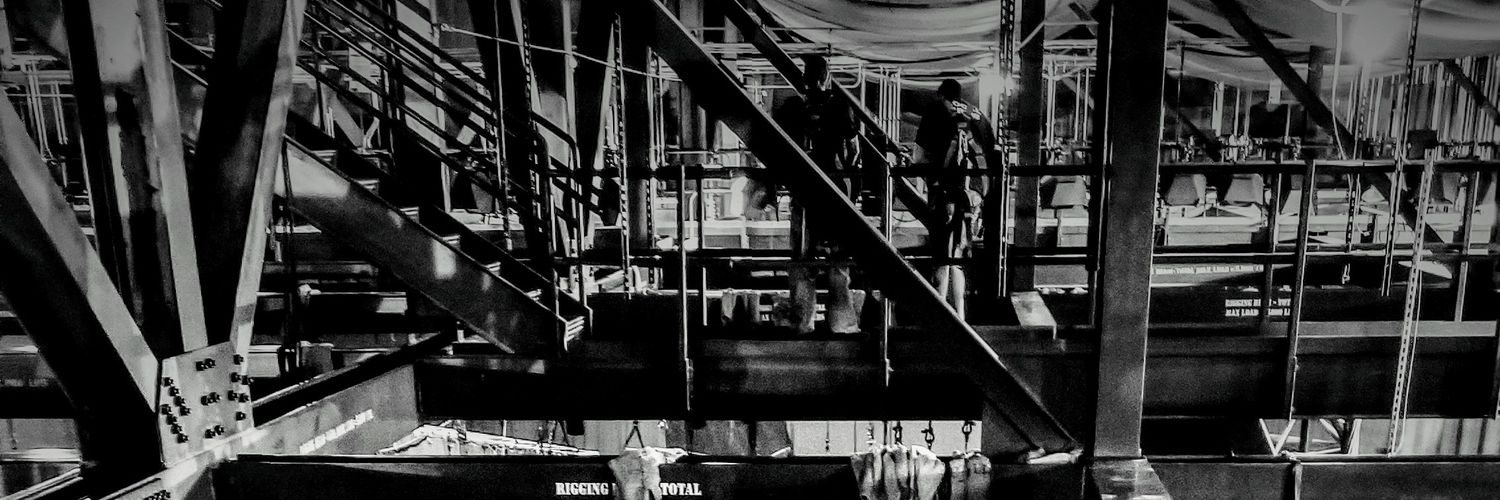 riggerx's profile banner image