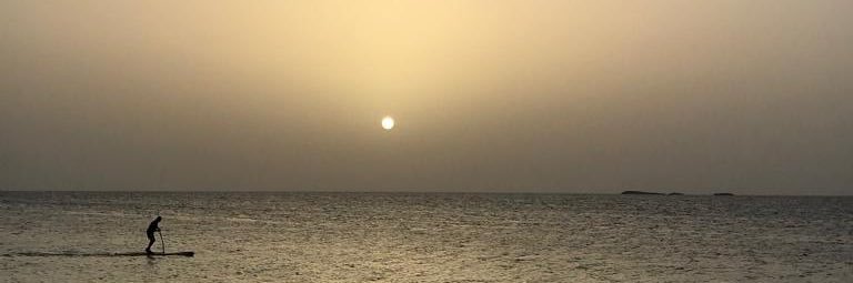 Arlina P. banner