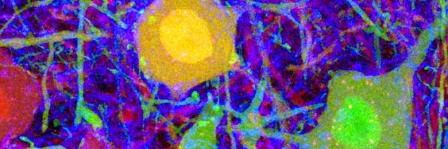 troespen's profile banner image