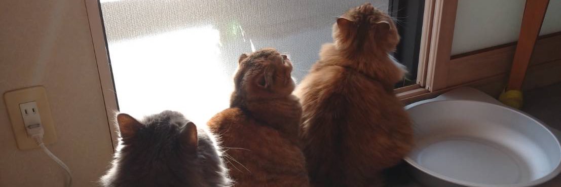 重清もも子 banner