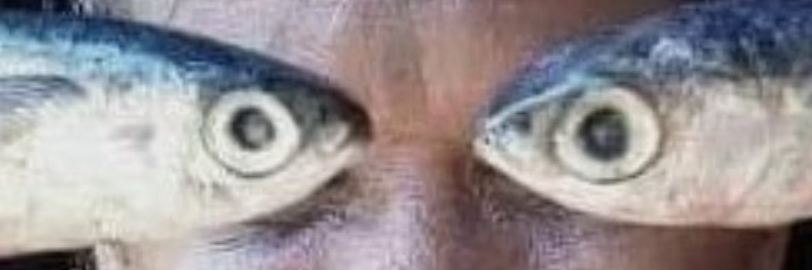 BABYKHAMURRABI banner