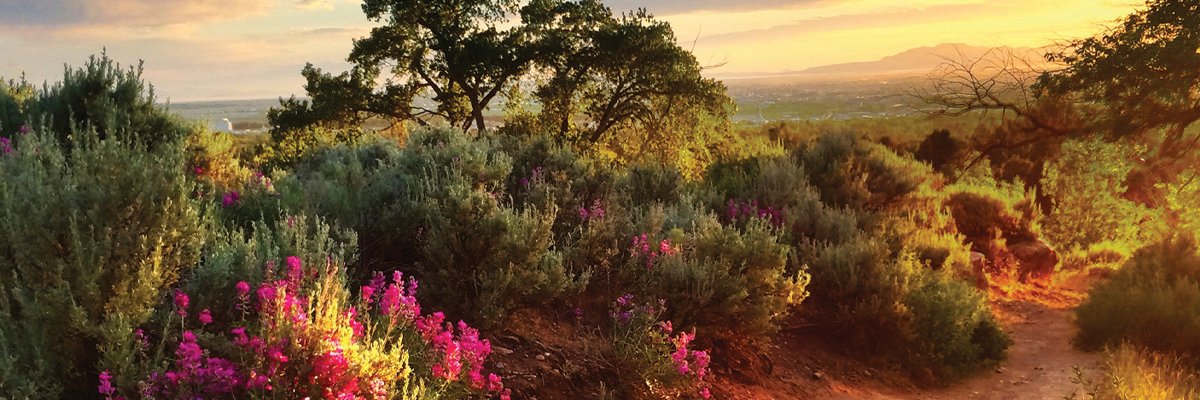 VisitOgden's profile banner image