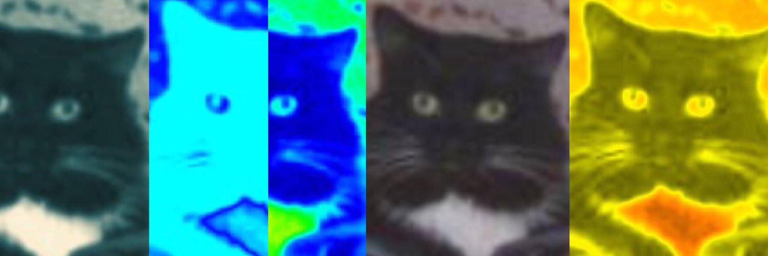 Trnksys's profile banner image