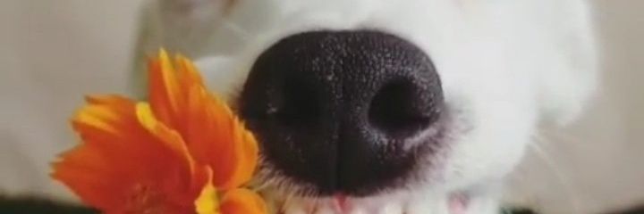 yeison440's profile banner image
