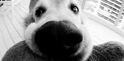 v_ieww's profile banner image