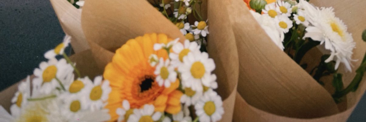 _gadeux's profile banner image