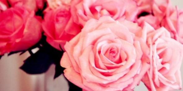 Stef_xox's profile banner image