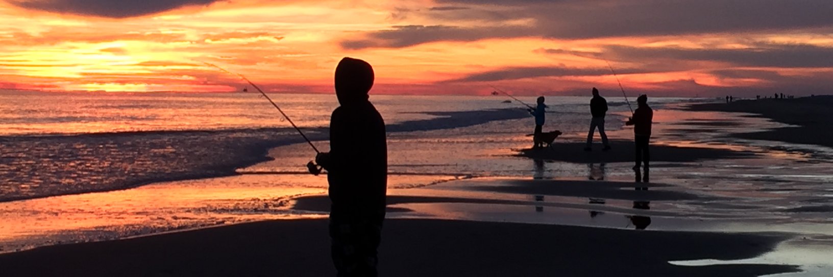 Andrea DeSantis DO, FAAFP banner