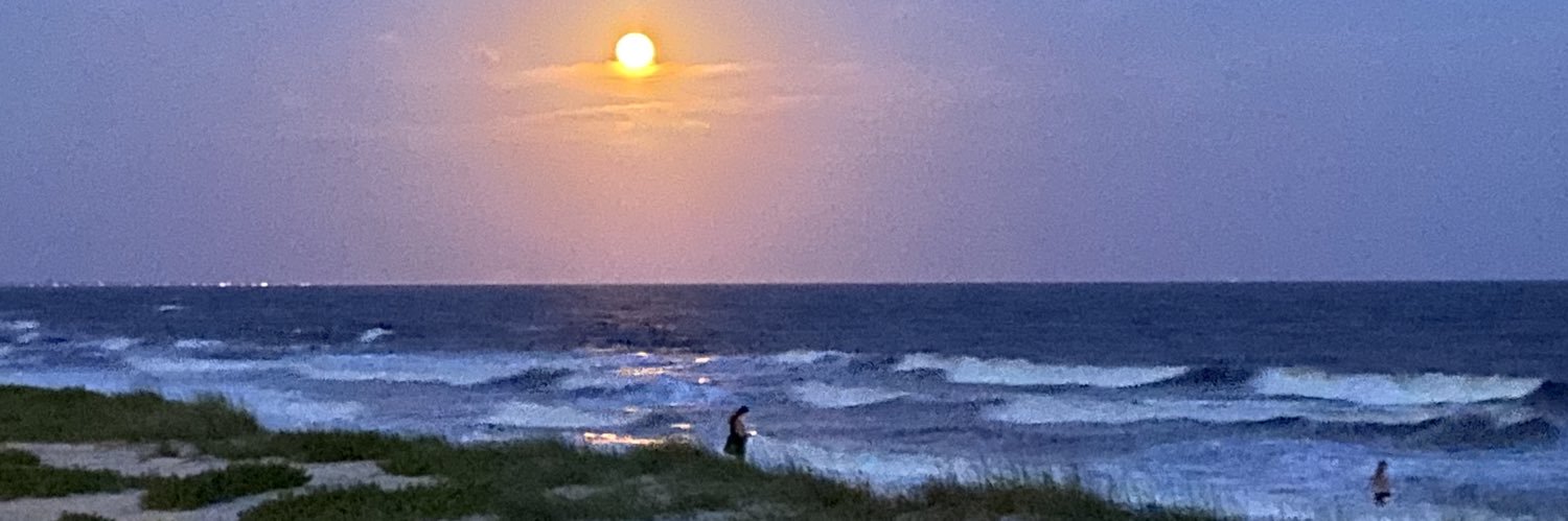 pswatkins's profile banner image