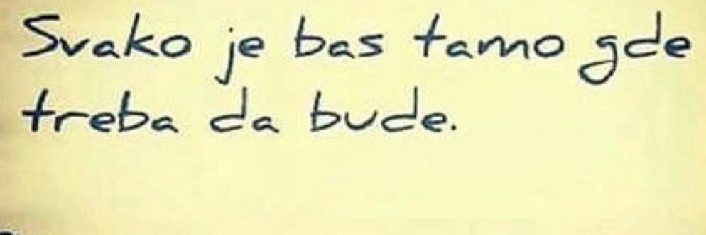 miss_obradovic's profile banner image