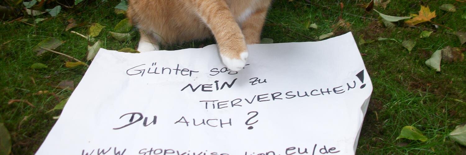 KaterGuenter's profile banner image