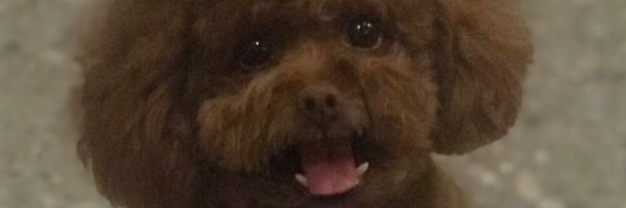 sLHappy4u's profile banner image