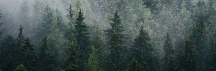 sunsnaring's profile banner image