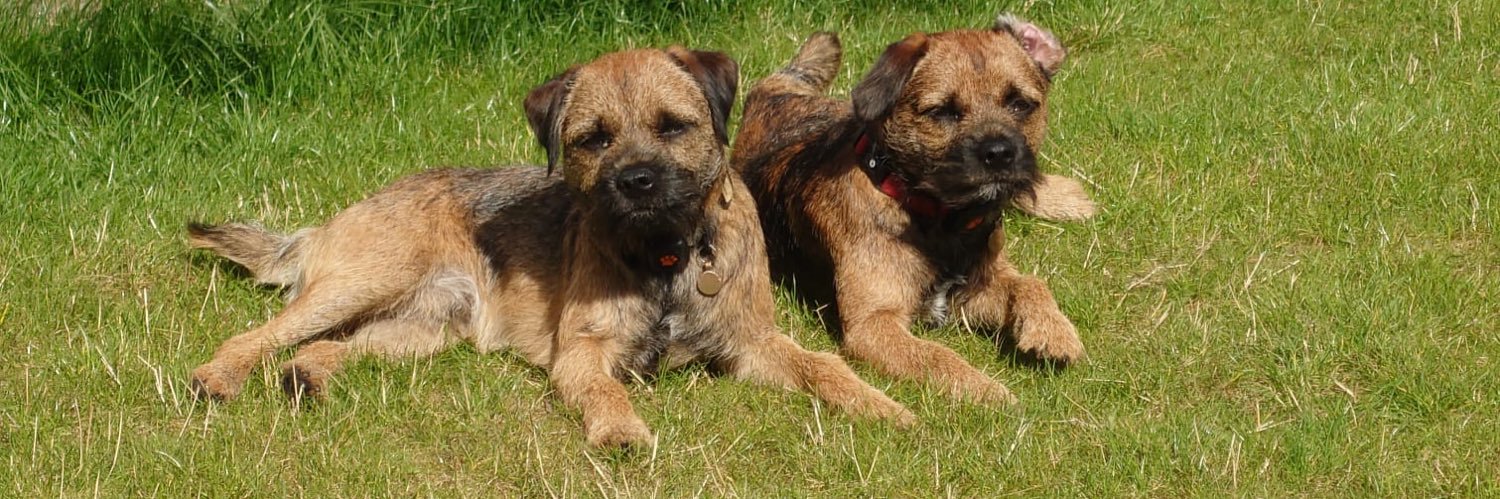 Manx_Charlie's profile banner image