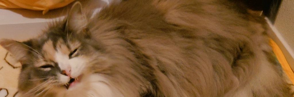 peroron2525's profile banner image