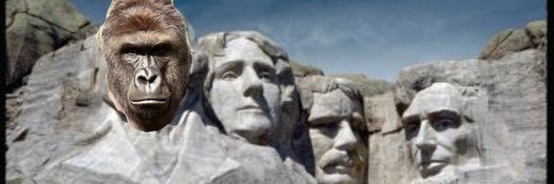 rameybrett5's profile banner image