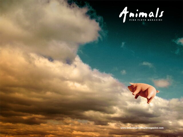 _A__C__M_'s profile banner image