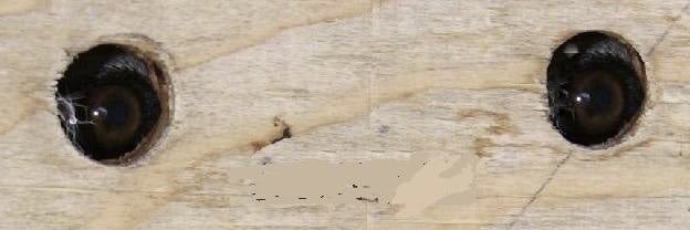 maxdenburg's profile banner image